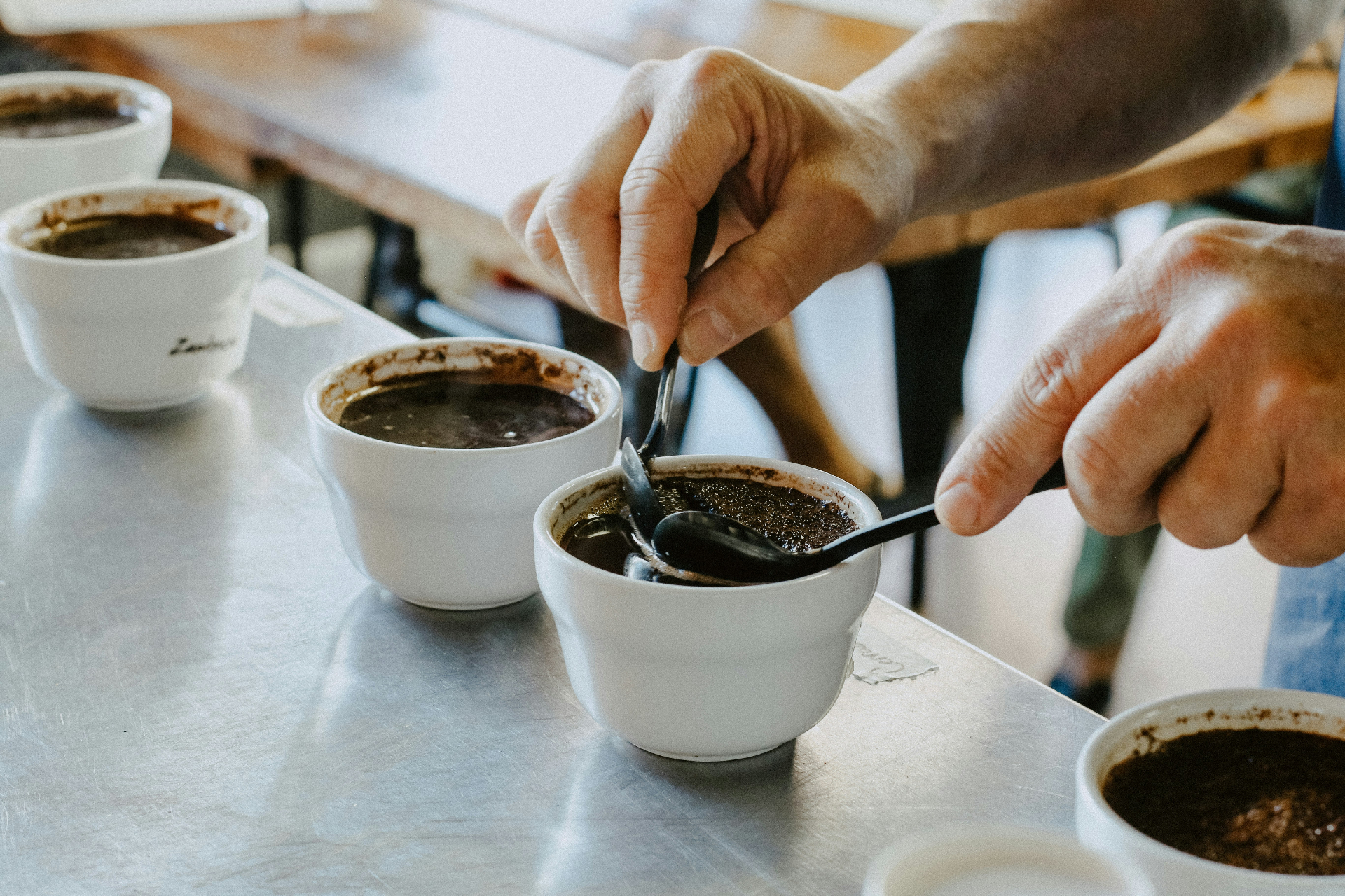 Cupping table - evaluating coffee samples